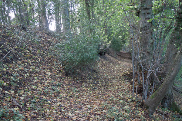 the Shropshire Way at Benthall Edge