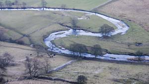 Meanders on River Wharfe