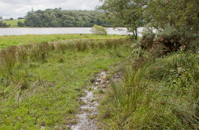 footpath leading to Bassenthwaite Lake