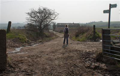 The Rochdale Way, north of Top o' thi Hill Farm