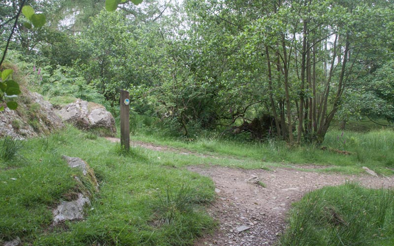path from Latterbarrow to Hawkshead