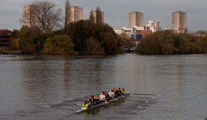 rowing on the Thames