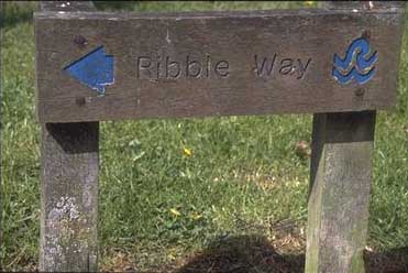 [photograph of Ribble Way waymarker]